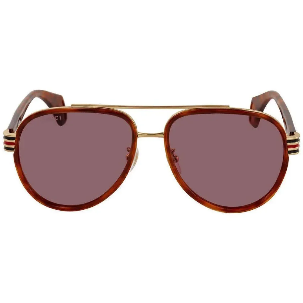 NEW Gucci Red Havana Aviator Men's Sunglasses